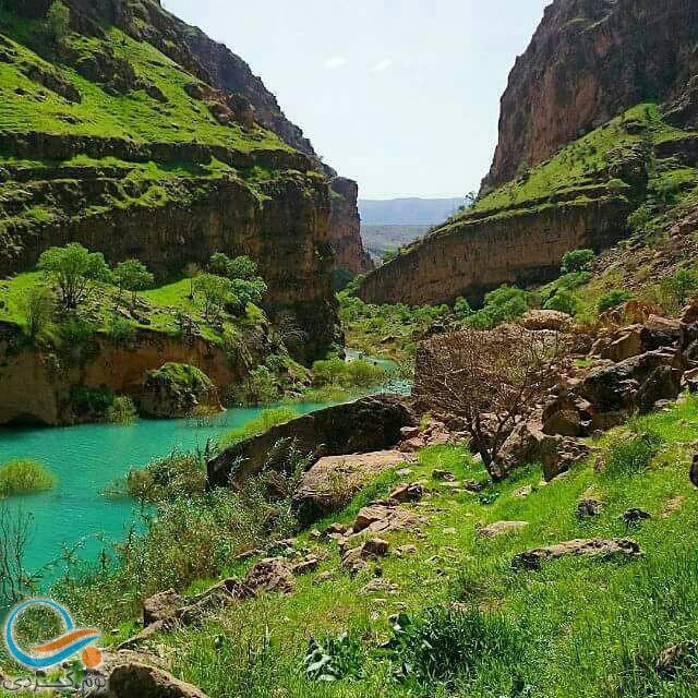 تصویر